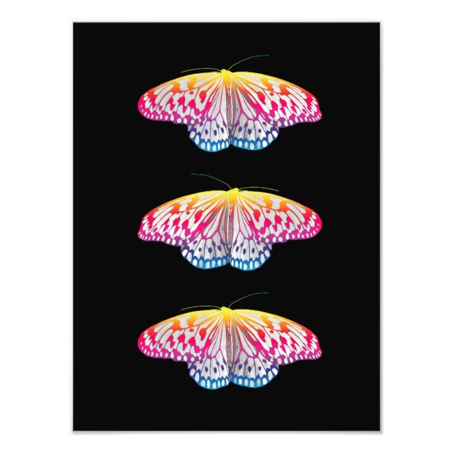 Impression Photo Papillons de couleur arc-en-ciel (Devant)