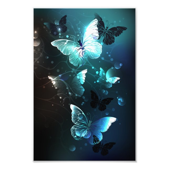 Impression Photo Papillons de nuit (Devant)