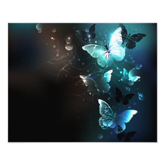 Impression Photo Papillons de nuit (Devant)