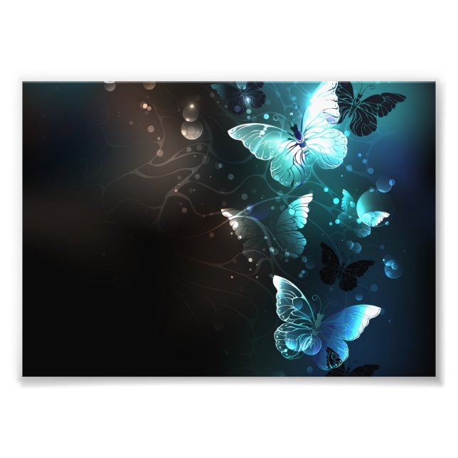 Impression Photo Papillons de nuit (Devant)