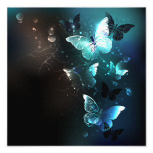Impression Photo Papillons de nuit