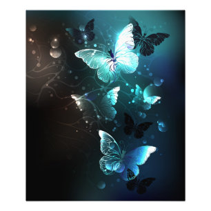 Impression Photo Papillons de nuit