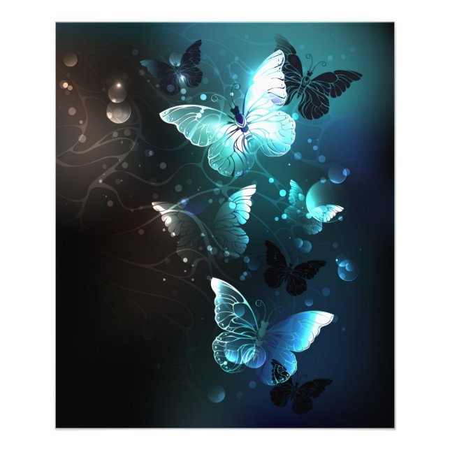 Impression Photo Papillons de nuit (Devant)