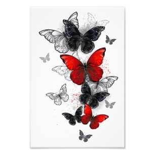 Impression Photo Papillons noirs et rouges volants