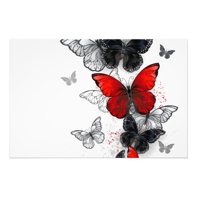 Impression Photo Papillons noirs et rouges volants (Devant)