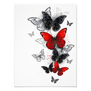 Impression Photo Papillons noirs et rouges volants