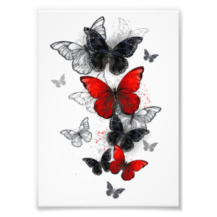 Impression Photo Papillons noirs et rouges volants