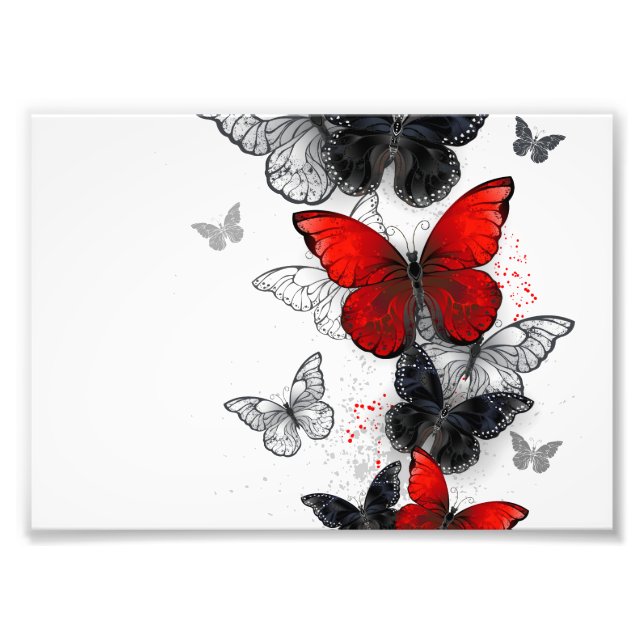 Impression Photo Papillons noirs et rouges volants (Devant)