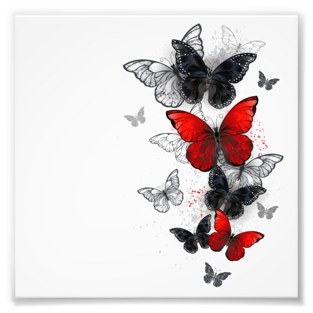 Impression Photo Papillons noirs et rouges volants (Devant)