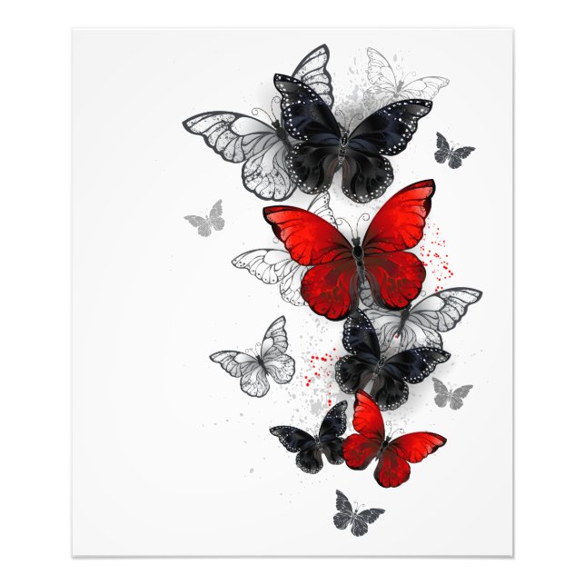 Impression Photo Papillons noirs et rouges volants (Devant)