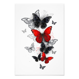 Impression Photo Papillons noirs et rouges volants