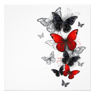 Impression Photo Papillons noirs et rouges volants