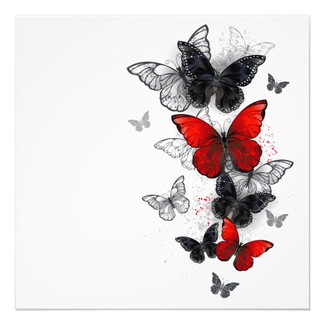 Impression Photo Papillons noirs et rouges volants (Devant)