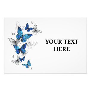 Impression Photo Papillons volants bleus Morpho