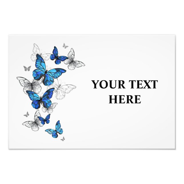 Impression Photo Papillons volants bleus Morpho (Devant)