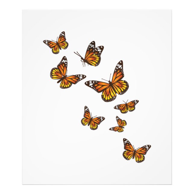 Impression Photo Papillons volants - Gardener à papillon Ento (Devant)