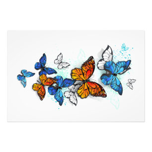 Impression Photo Papillons volants Morpho et Monarch