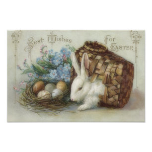Impression Photo Pâques Lapin Coloré Painté Panier OEuf Oubliez-Moi