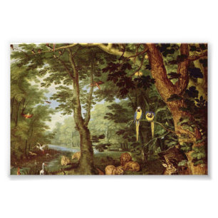 Impression Photo Paradis