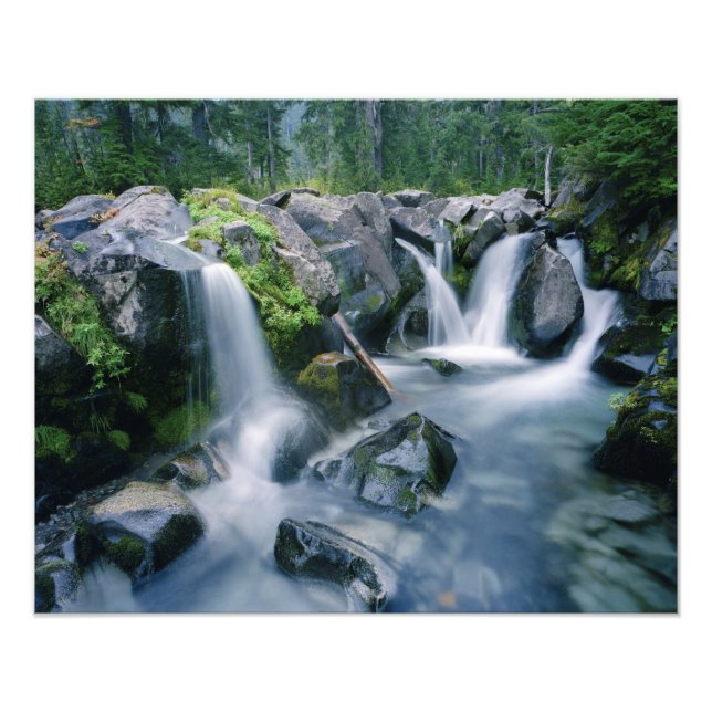 Impression Photo Paradise Creek coule sur les pentes du Mont (Devant)