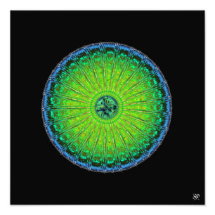 Impression Photo Parapluie de méduses