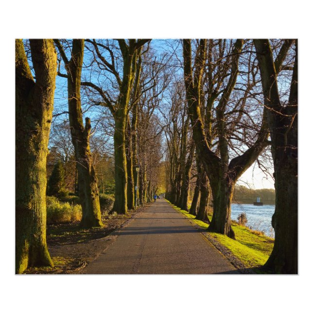 Impression Photo Parc (Devant)