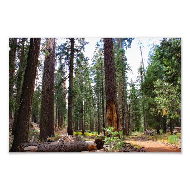 Impression Photo Parc national de Kings Canyon (Devant)
