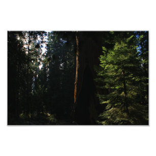 Impression Photo Parc national de Kings Canyon