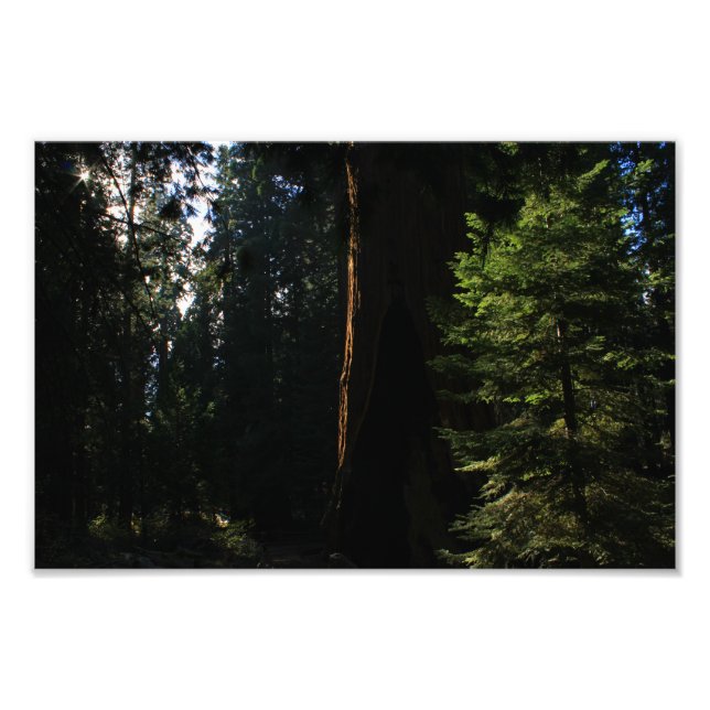 Impression Photo Parc national de Kings Canyon (Devant)