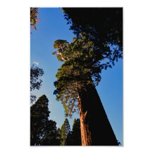 Impression Photo Parc national de Kings Canyon