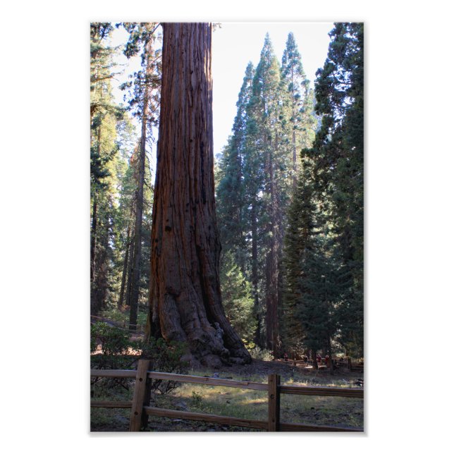 Impression Photo Parc national de Kings Canyon (Devant)