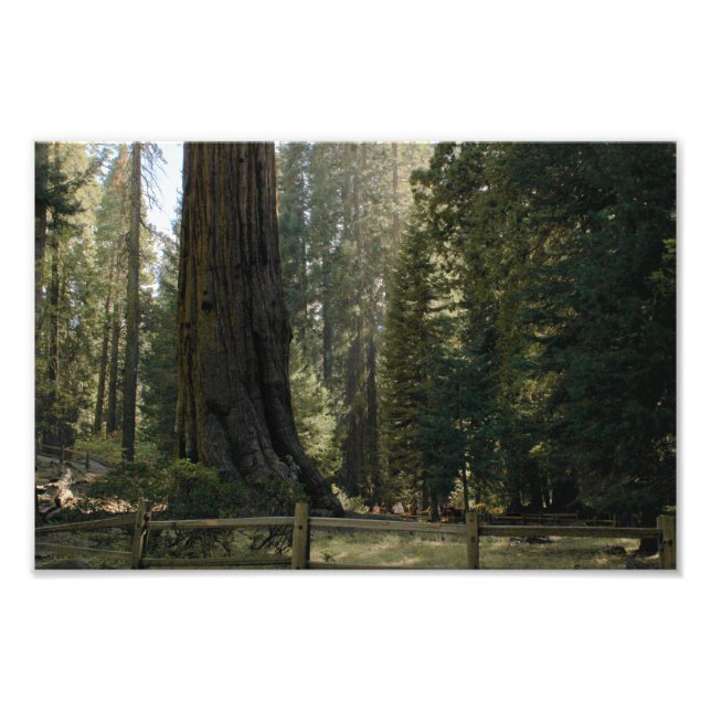 Impression Photo Parc national de Kings Canyon (Devant)