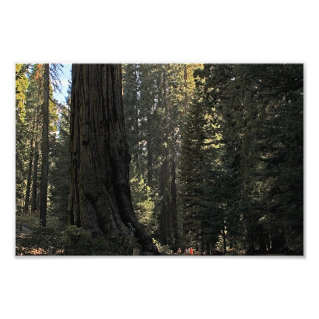 Impression Photo Parc national de Kings Canyon (Devant)