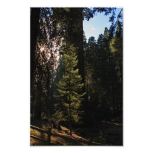 Impression Photo Parc national de Kings Canyon