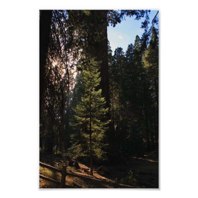 Impression Photo Parc national de Kings Canyon (Devant)