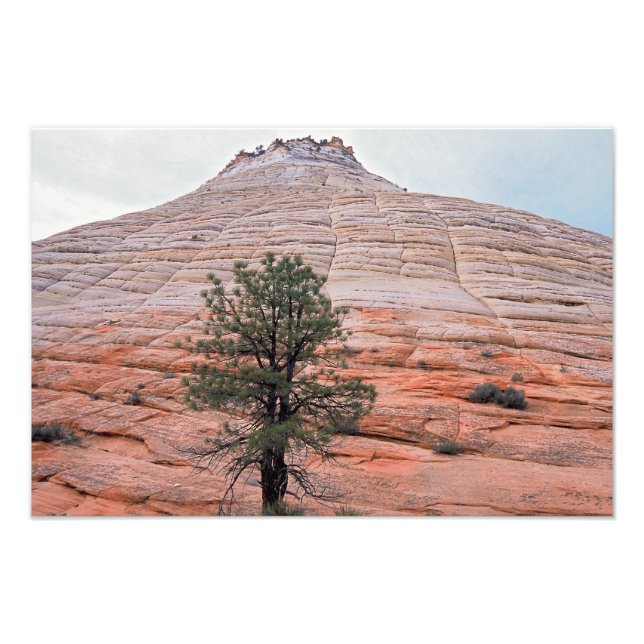 Impression Photo Parc national de Mesa Zion Checkerboard (Devant)
