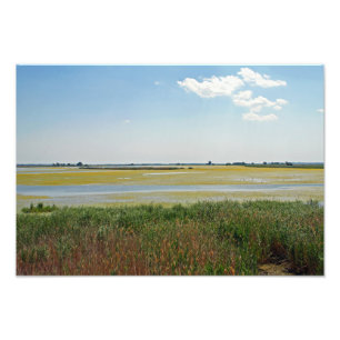 Impression Photo Parc national d'Hortobagy, Hongrie