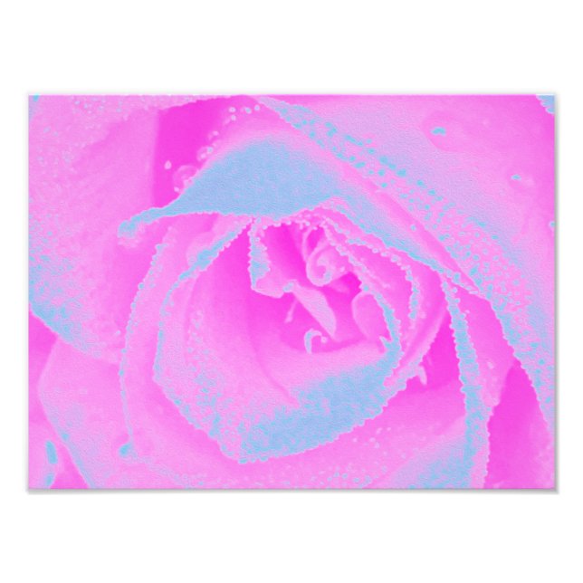 Impression Photo Parfait détail de rose rose chaud et bleu clair (Devant)