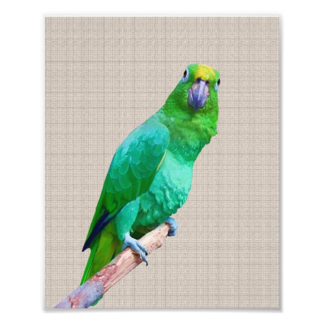 Impression Photo Parrot Macaw vert sur un membre texte personnalisa (Devant)