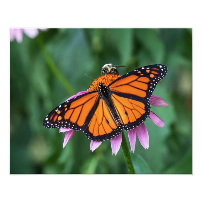 Impression Photo Partager Un Repas (Devant)