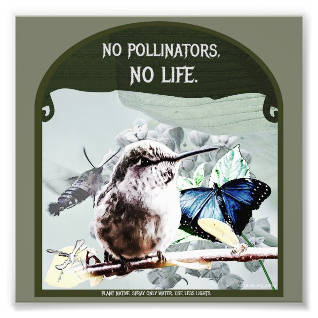 Impression Photo Pas de pollinisateurs, pas de vie (Devant)