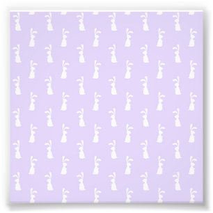 Impression Photo Pastel Color Bunny Motif Blue Arrière - plan anima