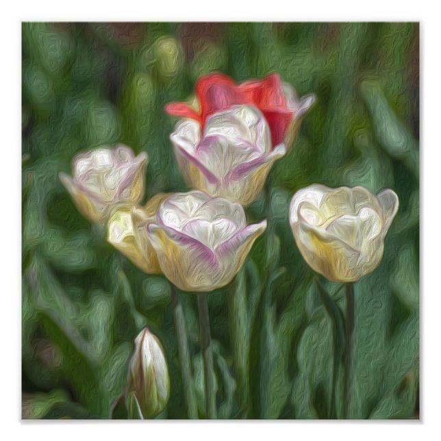 Impression Photo Pastel Tulips (Devant)