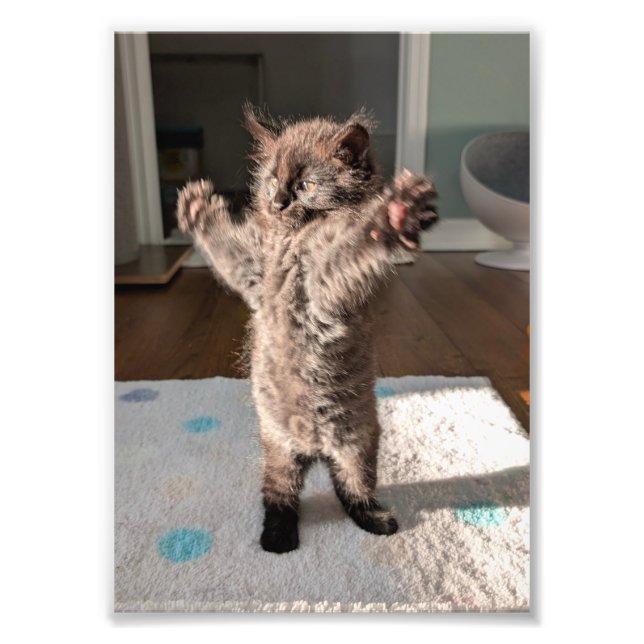 Impression Photo Patsy the bear (Devant)