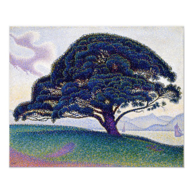 Impression Photo Paul Signac - Le pin de Bonaventure (Devant)
