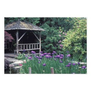 Impression Photo Pavillon en bois dans le jardin en contrebas à