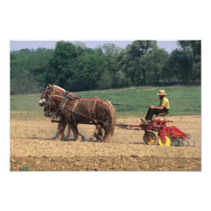 Impression Photo Pays Amish des gens simples dans l'agriculture ave