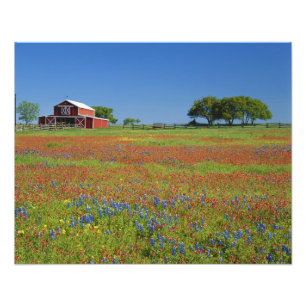 Impression Photo Pays de colline du Texas, le Texas, pinceau du