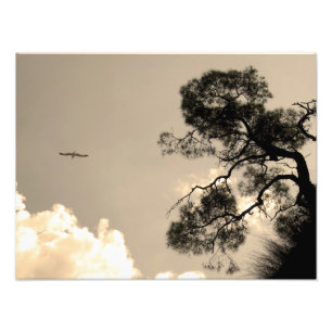 Impression Photo paysage