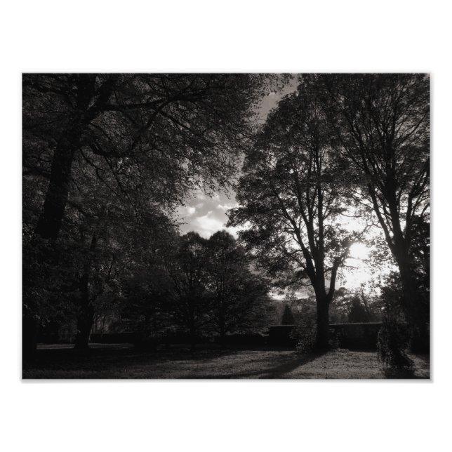 Impression Photo Paysage d'automne Bute Park Cardiff (Devant)